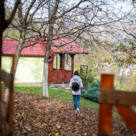 Holiday Home Nanin Konak 2 Врдник Экстерьер фото