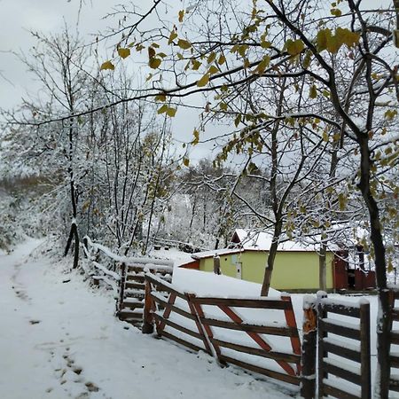 Holiday Home Nanin Konak 2 Врдник Экстерьер фото