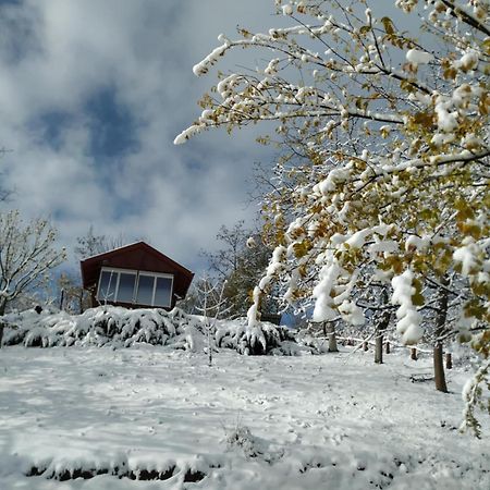 Holiday Home Nanin Konak 2 Врдник Экстерьер фото