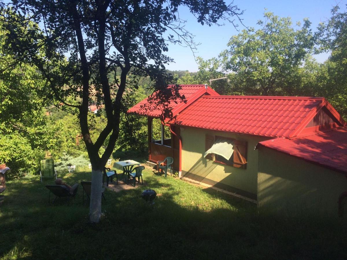 Holiday Home Nanin Konak 2 Врдник Экстерьер фото