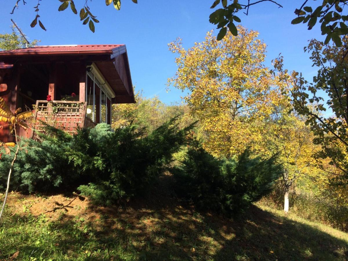 Holiday Home Nanin Konak 2 Врдник Экстерьер фото