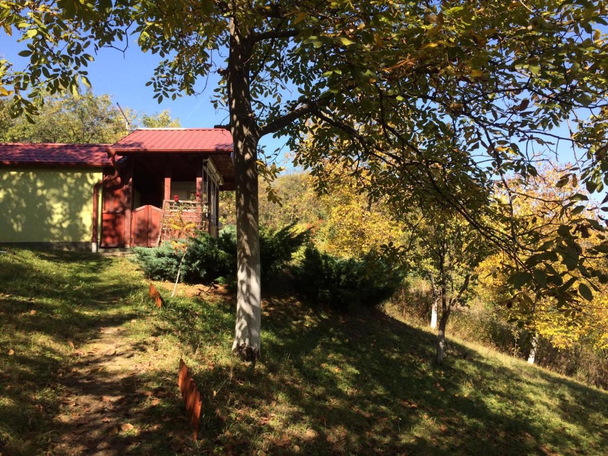 Holiday Home Nanin Konak 2 Врдник Экстерьер фото