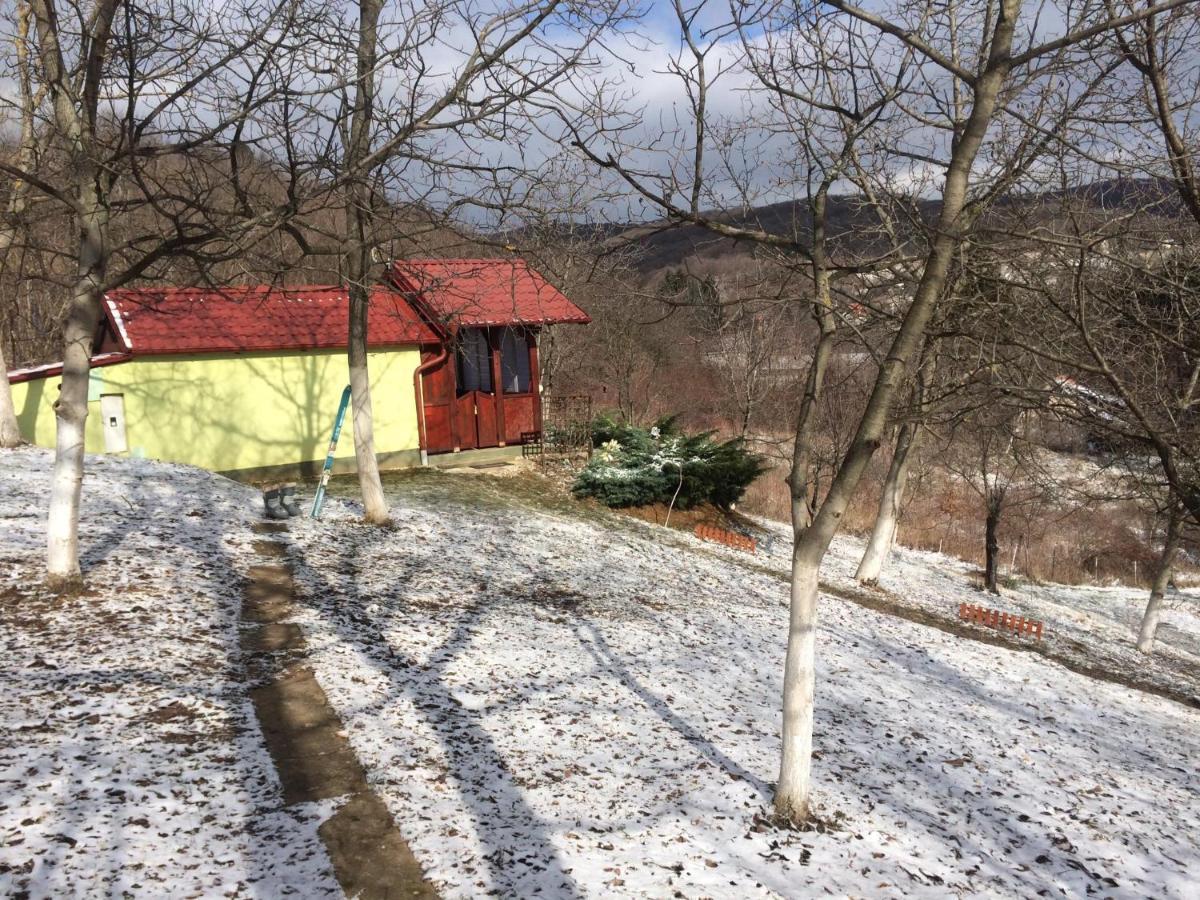 Holiday Home Nanin Konak 2 Врдник Экстерьер фото