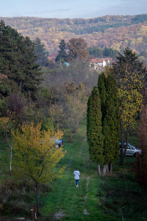 Holiday Home Nanin Konak 2 Врдник Экстерьер фото