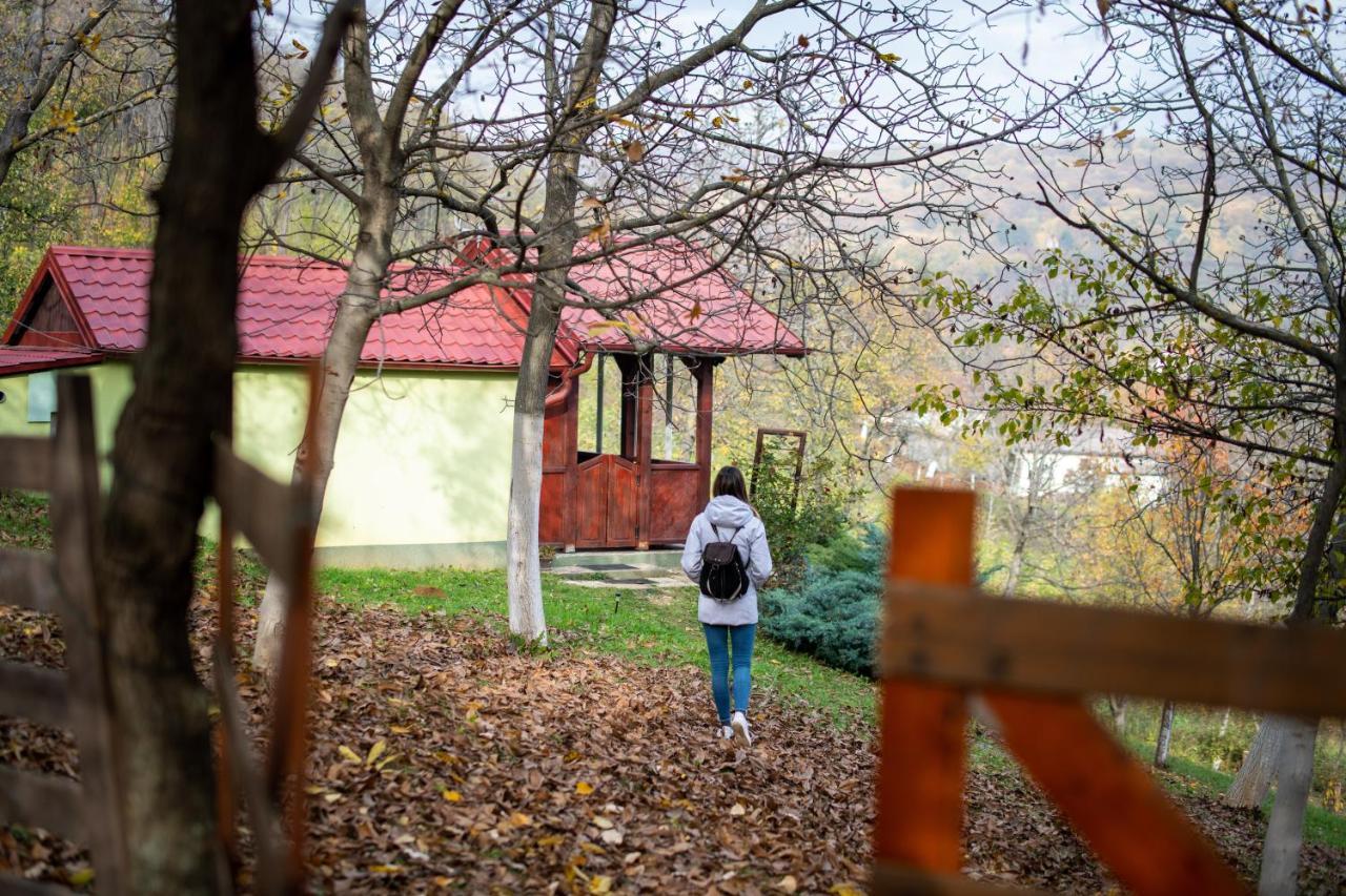 Holiday Home Nanin Konak 2 Врдник Экстерьер фото