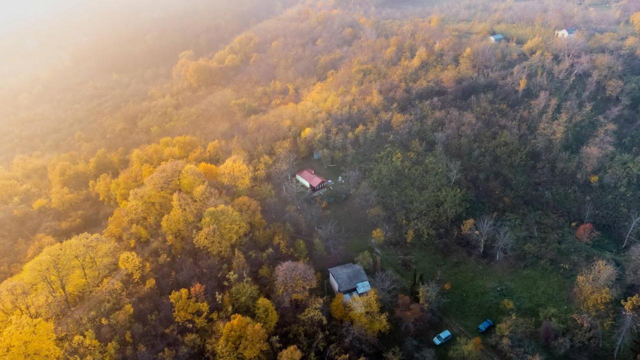 Holiday Home Nanin Konak 2 Врдник Экстерьер фото