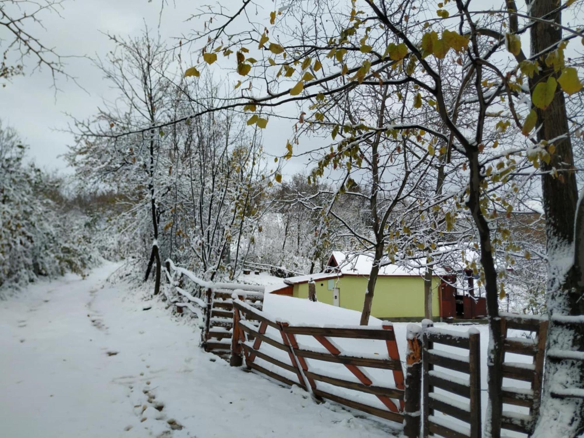 Holiday Home Nanin Konak 2 Врдник Экстерьер фото