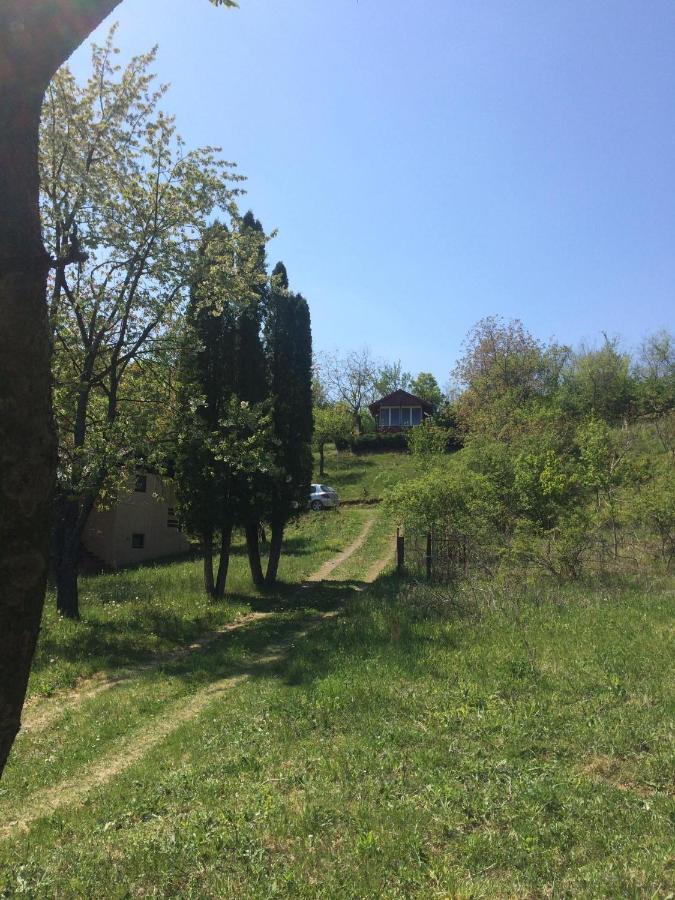 Holiday Home Nanin Konak 2 Врдник Экстерьер фото