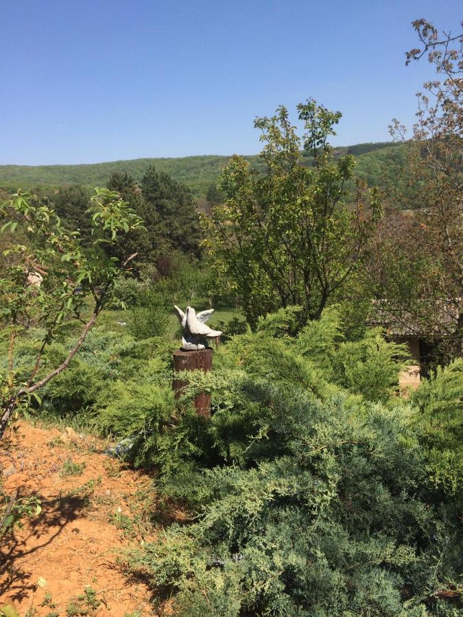 Holiday Home Nanin Konak 2 Врдник Экстерьер фото